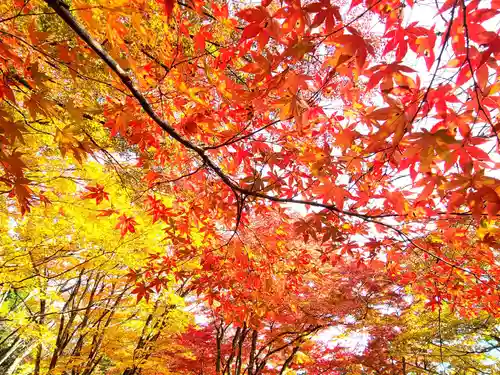 土津神社｜こどもと出世の神さまの自然