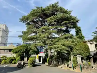 理性寺(東京都)
