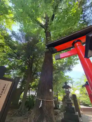 大谷場氷川神社のその他建物