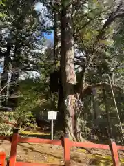 日光二荒山神社(栃木県)