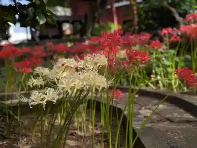 法栄寺(千葉県)