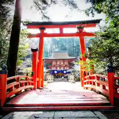 丹生都比売神社の鳥居