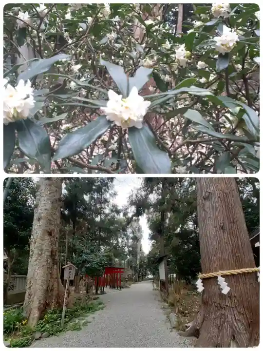 鴨都波神社の{uncategorized: "未分類", other: "その他", undefined: "問題あり", building: "その他建物", grave: "お墓", sacred_gate: "鳥居", guardian: "狛犬", statue: "像", buddha: "仏像", history: "歴史", nature: "自然", garden: "庭園", animal: "動物", pagoda: "塔", temizu: "手水舎", mountain_gate: "山門・神門", sanctuary: "本殿・本堂", subordinate: "末社・摂社", art: "芸術", scenery: "景色", jizo: "地蔵", ema: "絵馬", goshuin: "御朱印", omikuji: "おみくじ", items: "授与品その他", amulet: "お守り", goshuincho: "御朱印帳", eats: "食事", festival: "お祭り", votive_dance: "神楽", shichigosan: "七五三参", wedding: "結婚式", experience: "体験その他", initially: "初詣", around: "周辺", anti_infection: "感染症対策"}