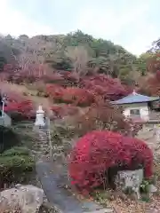 普門寺(切り絵御朱印発祥の寺)の庭園