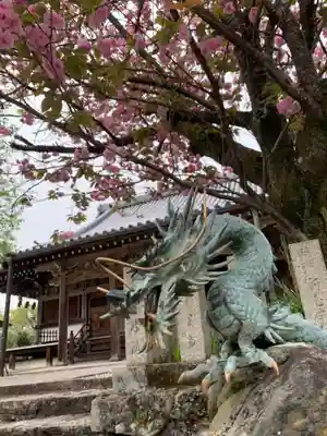 櫻本坊の手水舎