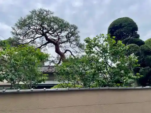 清徳寺(東京都)