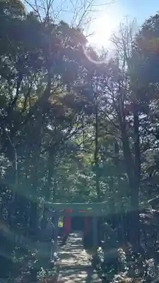 大麻比古神社(徳島県)