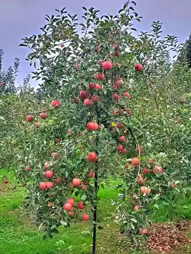 陽林寺(福島県)
