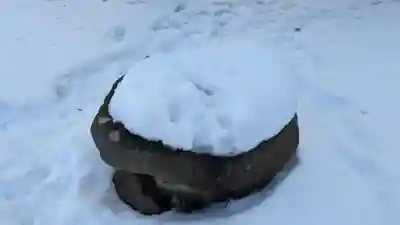 山鼻神社の手水舎