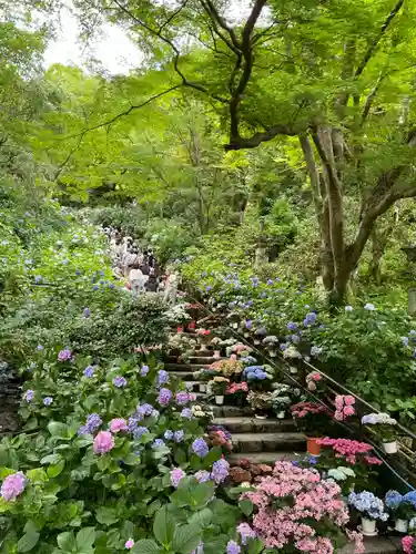 長谷寺(奈良県)