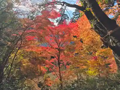観心寺(大阪府)