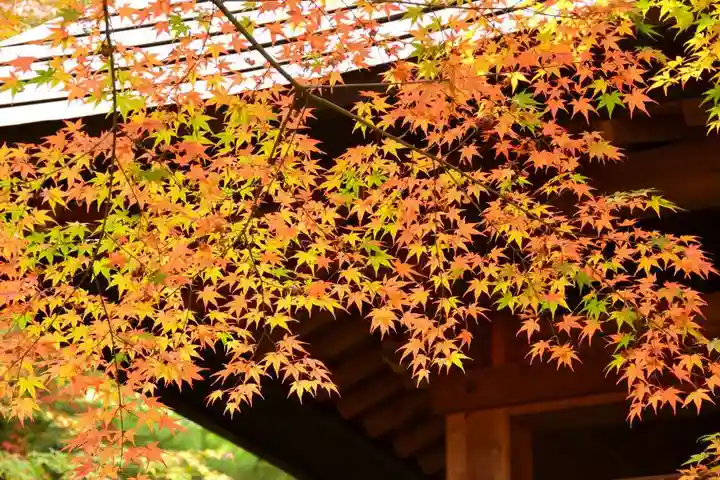 両足寺(山口県)