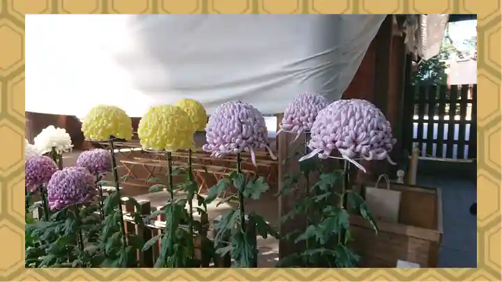 阿佐ヶ谷神明宮(東京都)