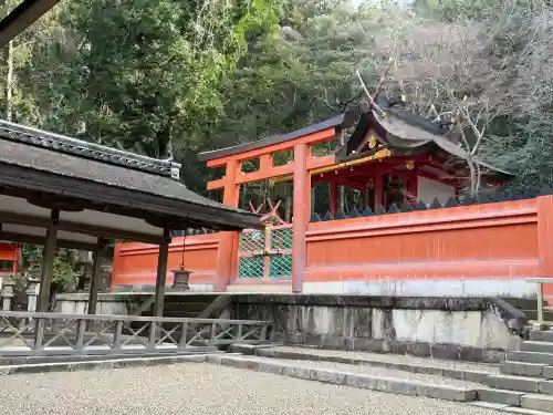 春日大社 若宮（春日若宮）(奈良県)