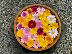 滑川神社 - 仕事と子どもの守り神の手水