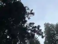 大宮温泉神社(栃木県)