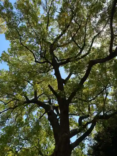 王子神社(東京都)
