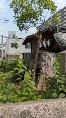 香具波志神社(大阪府)