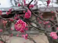 西向天神社(東京都)