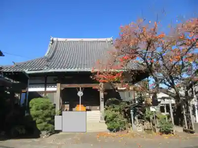 宗林寺(東京都)
