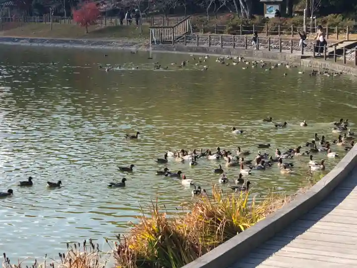 橿原神宮の周辺