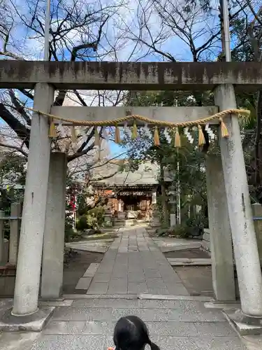 冨士浅間神社の鳥居