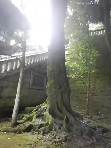 宇都宮二荒山神社(栃木県)
