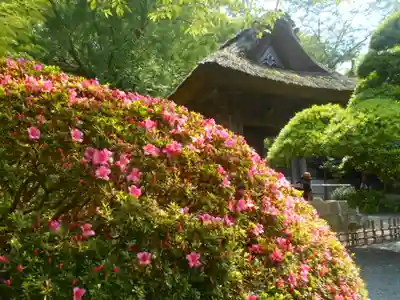 報国寺のその他建物