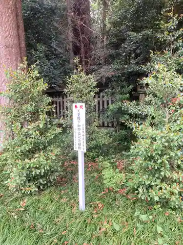 香取神宮の自然