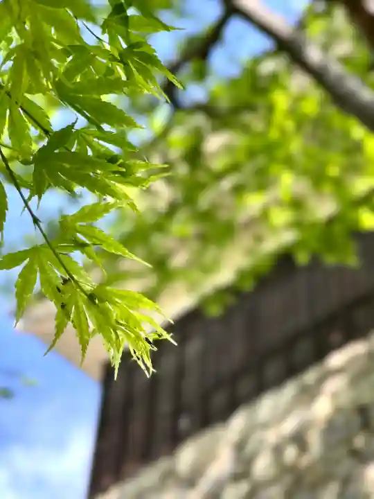眞田神社の庭園