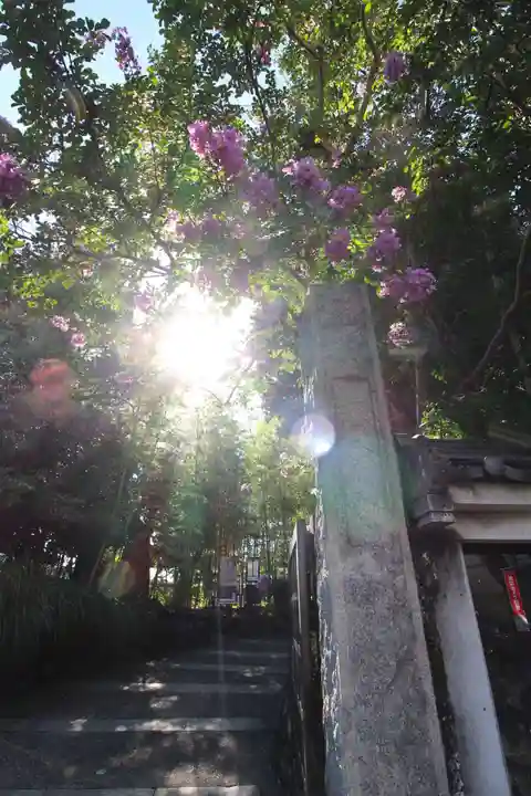 光明院(東京都)