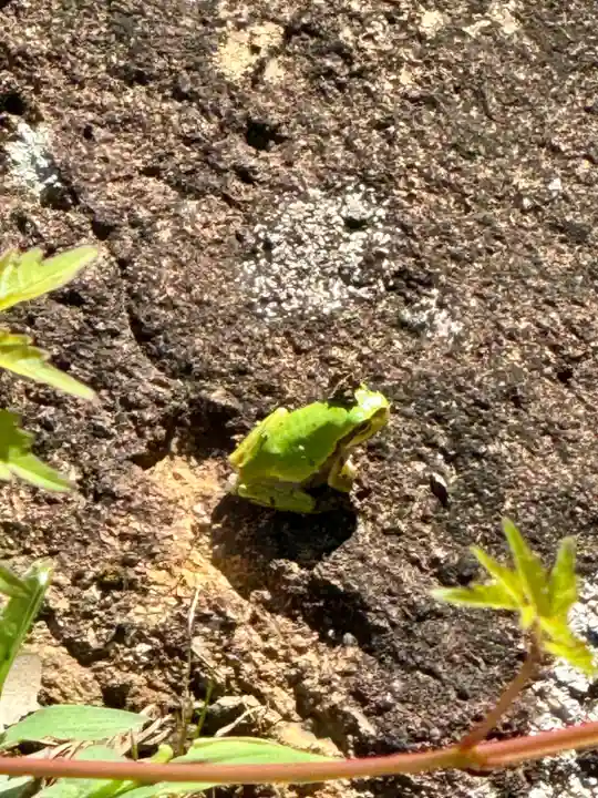 顕海寺(福井県)