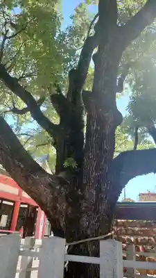 長瀨神社の自然