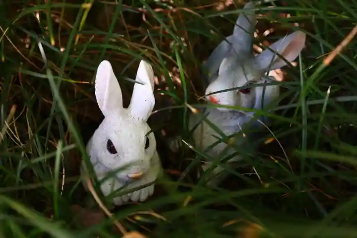 三輪神社(愛知県)