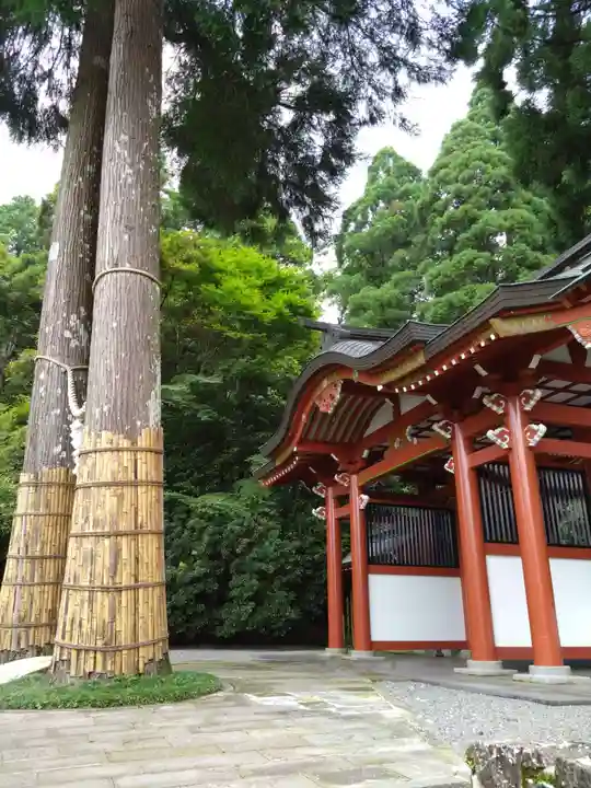 霧島東神社(宮崎県)