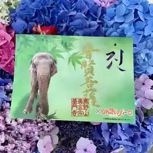 普門寺(切り絵御朱印発祥の寺)(愛知県)(2021年06月16日(水) 20時30分55秒投稿)