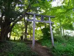 秋葉神社(神奈川県)