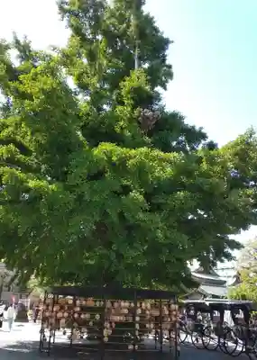 今戸神社(東京都)