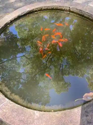 大直禰子神社(奈良県)