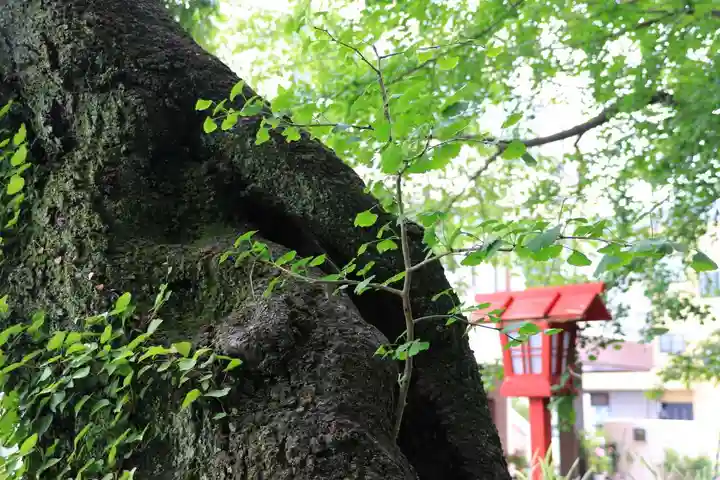 神炊館神社 ⁂奥州須賀川総鎮守⁂の自然