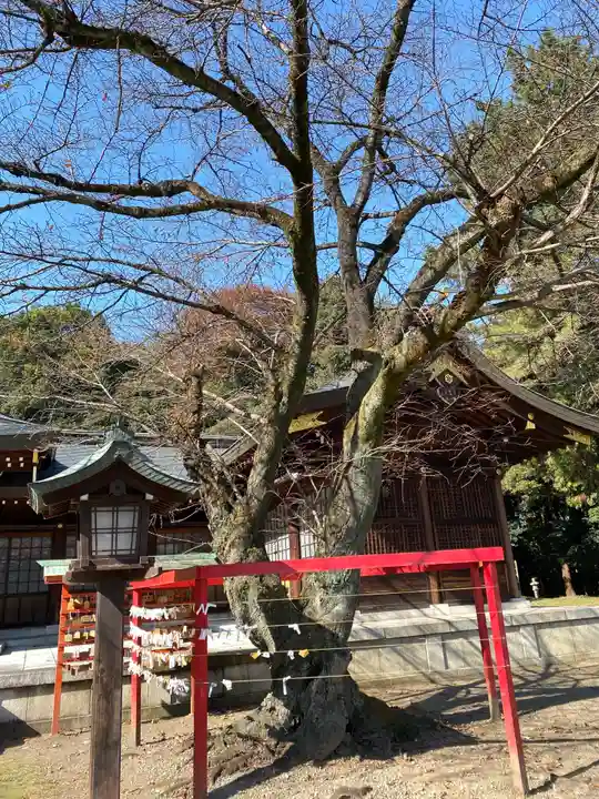 群馬県護国神社の自然