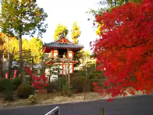 萬年寺のその他建物