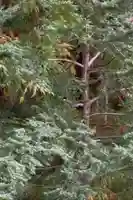 蚊里田八幡宮(長野県)