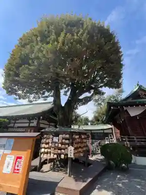 足利織姫神社(栃木県)