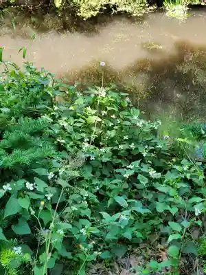 白髭神社(栃木県)
