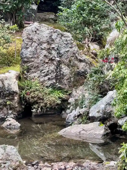 実相院門跡の{uncategorized: "未分類", other: "その他", undefined: "問題あり", building: "その他建物", grave: "お墓", sacred_gate: "鳥居", guardian: "狛犬", statue: "像", buddha: "仏像", history: "歴史", nature: "自然", garden: "庭園", animal: "動物", pagoda: "塔", temizu: "手水舎", mountain_gate: "山門・神門", sanctuary: "本殿・本堂", subordinate: "末社・摂社", art: "芸術", scenery: "景色", jizo: "地蔵", ema: "絵馬", goshuin: "御朱印", omikuji: "おみくじ", items: "授与品その他", amulet: "お守り", goshuincho: "御朱印帳", eats: "食事", festival: "お祭り", votive_dance: "神楽", shichigosan: "七五三参", wedding: "結婚式", experience: "体験その他", initially: "初詣", around: "周辺", anti_infection: "感染症対策"}