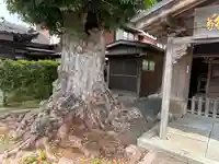 玉津島神社(福井県)