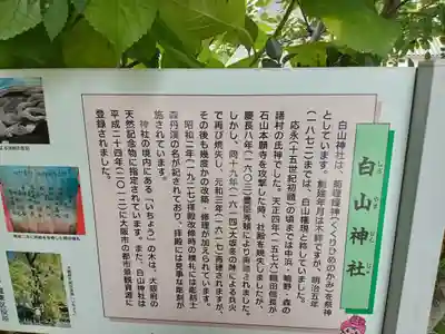 白山神社の歴史