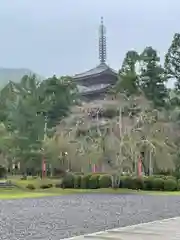 醍醐寺（上醍醐）(京都府)