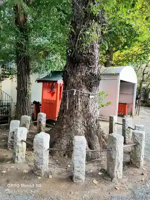 池尻稲荷神社の自然